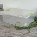 прозорий/оливковий