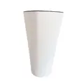білий