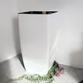 білий
