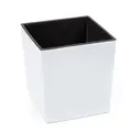білий