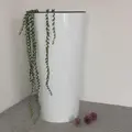 білий