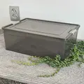 прозорий/какао