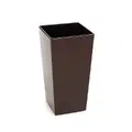 мокка