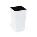 білий