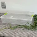прозорий/оливковий