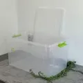прозорий/оливковий