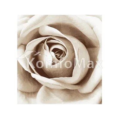 Шторка для ванної Dariana PHP-NUDE_ROSE 180х180см